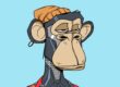 Bored Apes