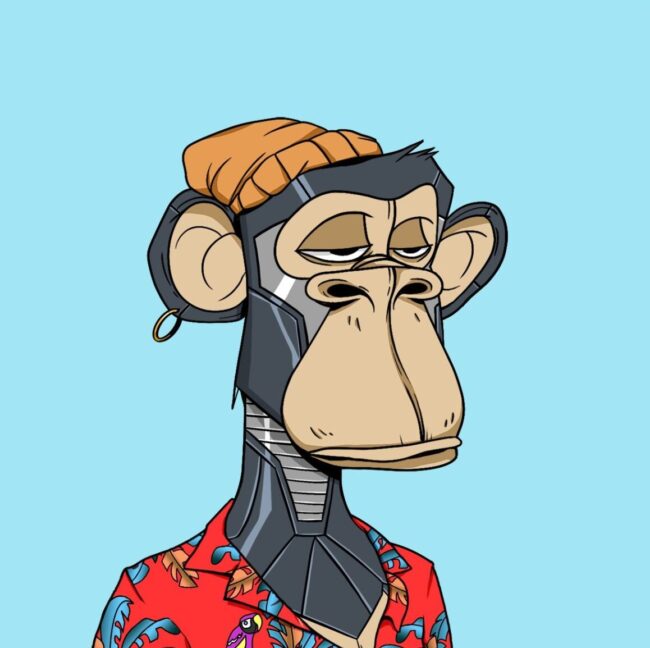 Bored Apes